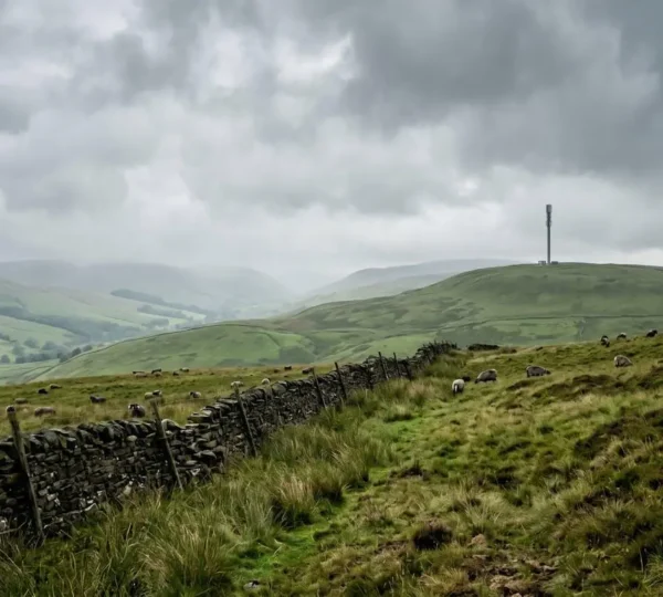 Rural UK landscape with modern telecommunications mast bringing 5G connectivity to the countryside