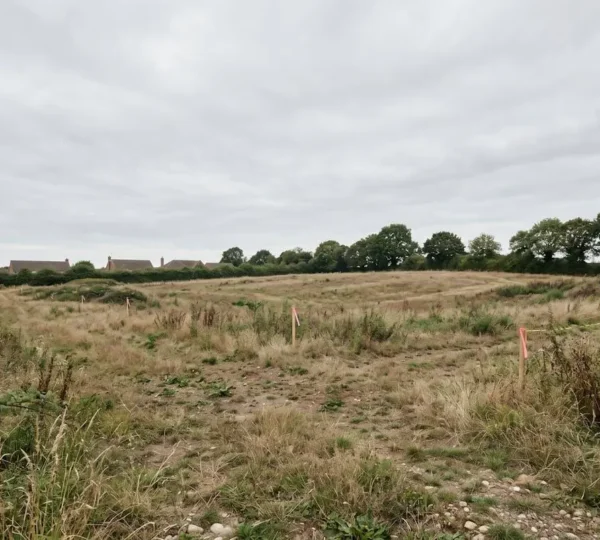 Professional site assessment of vacant development land with natural terrain features and surveying context